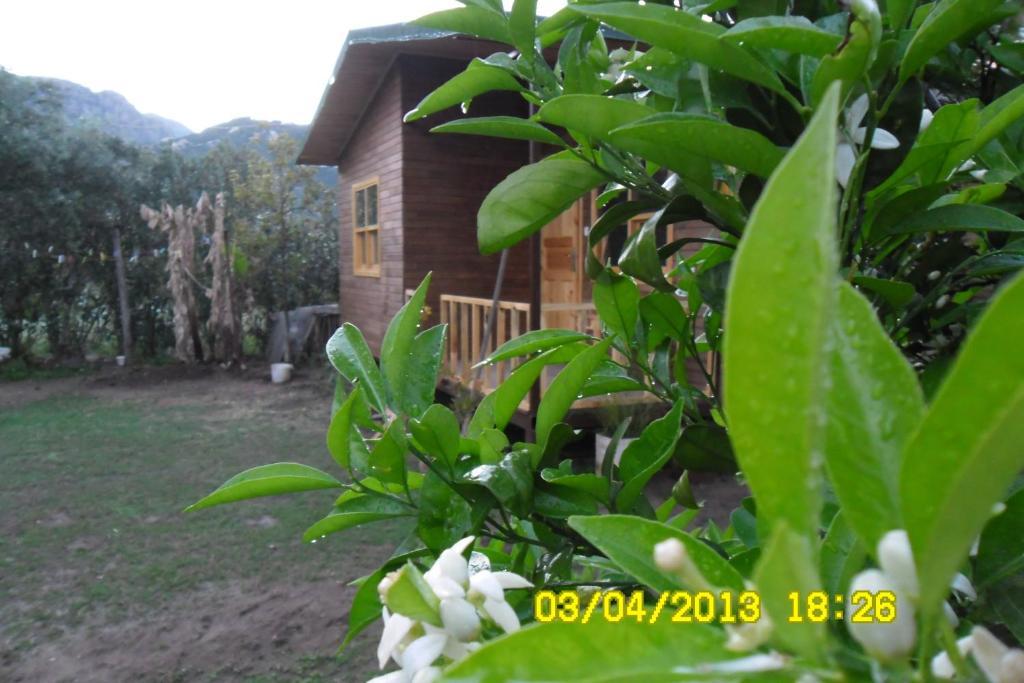 Hotel Cesur Pansiyon Çıralı Habitación foto