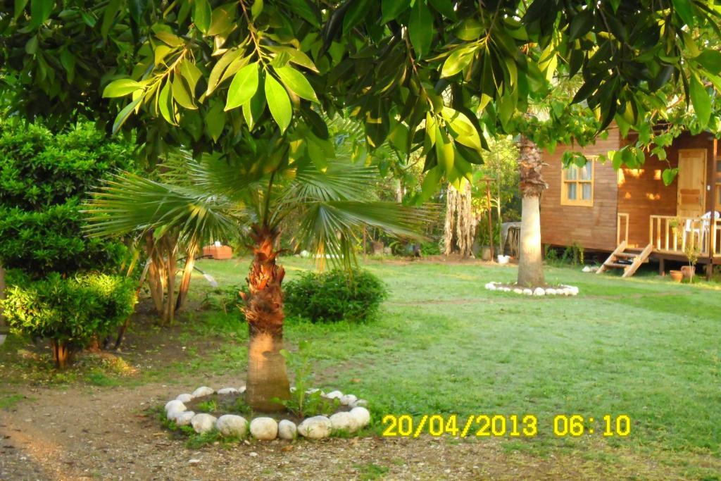 Hotel Cesur Pansiyon Çıralı Habitación foto
